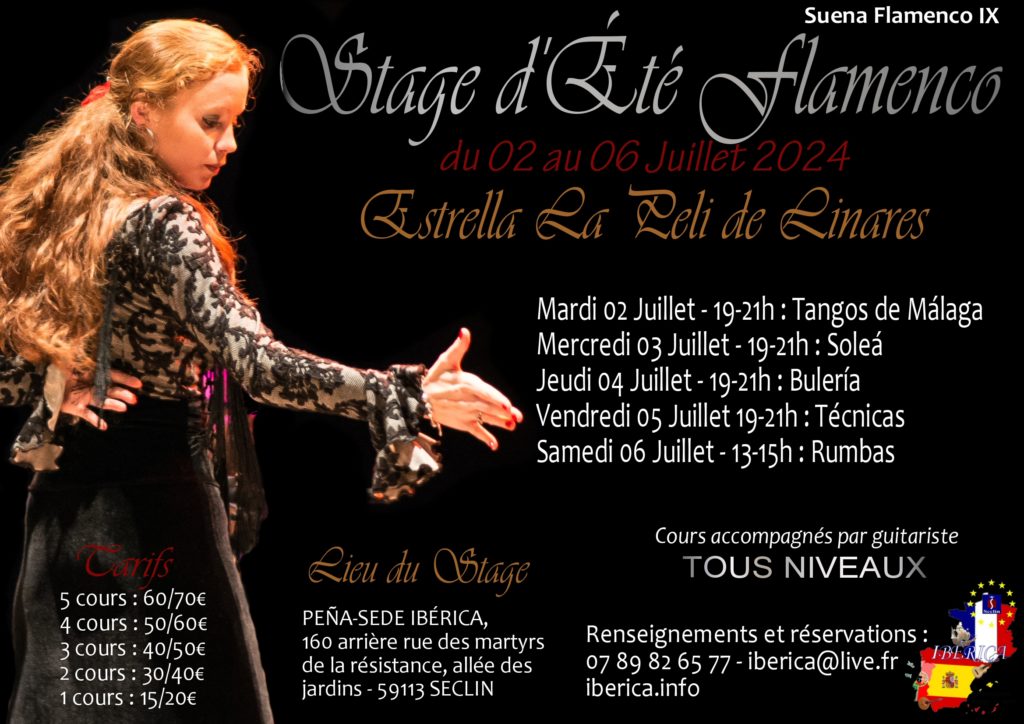 Flamenco ecole Lille Nord pas de Calais Picardie Hauts de France