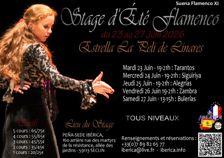 STAGE FLAMENCO LILLE NORD PAS DE CALAIS PICARDIE BELGIQUE LUXEMBOURG FRANCE ECOLE FLAMENCO
