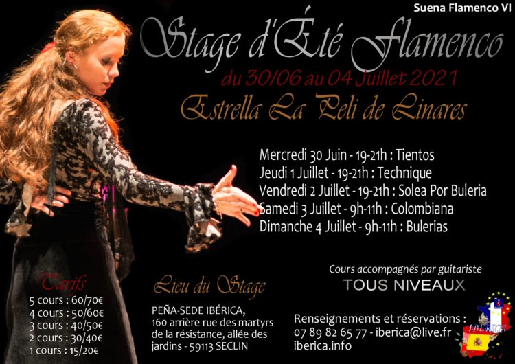 Stage Flamenco Danse Seclin Lille Nord pas de Calais Hauts de France avec Estrella La Peli