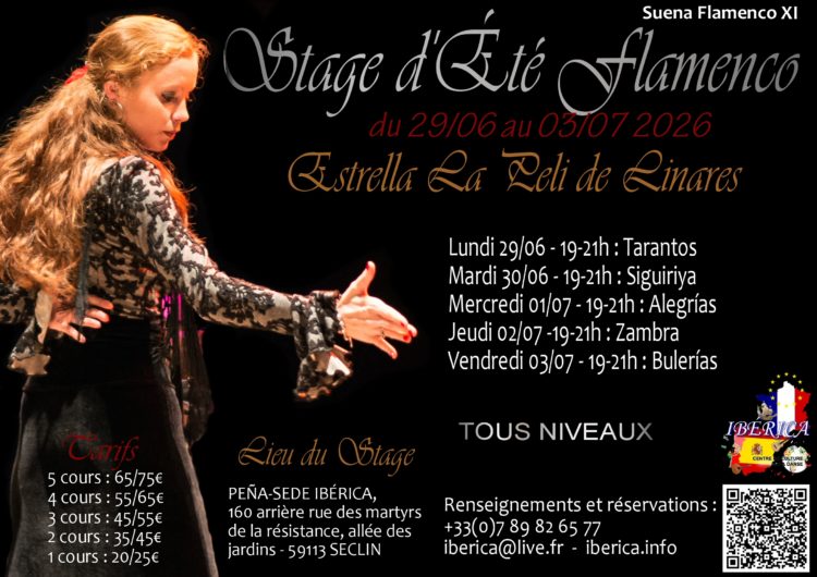 FLAMENCO LILLE HAUTS DE FRANCE NORD PAS DE CALAIS 2026 STAGE D’ÉTÉ DANSE ESTRELLA LA PELI